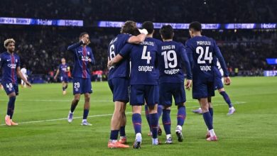 Joie psg