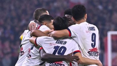 Psg joie