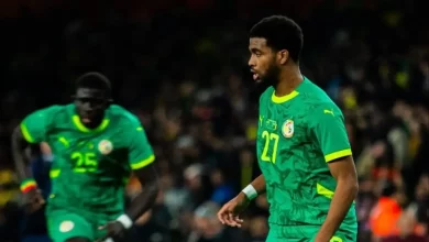 6e151324 f6b2 48e0 9c4e 66a230e9f7d6