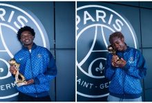 Titis d'Or