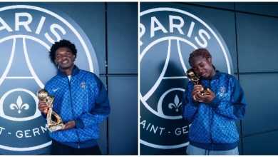 Titis d'Or
